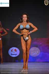 Кубок Ивановской области по бодибилдингу - 2026