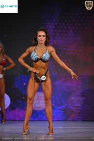 Кубок Ивановской области по бодибилдингу - 2026