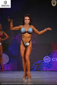 Кубок Ивановской области по бодибилдингу - 2026