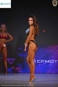 Кубок Ивановской области по бодибилдингу - 2026