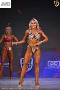 Кубок Ивановской области по бодибилдингу - 2026