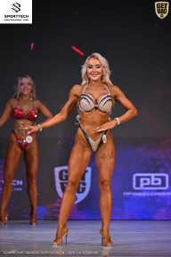 Кубок Ивановской области по бодибилдингу - 2026