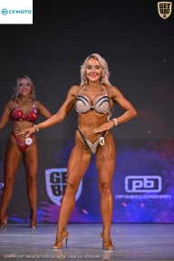 Кубок Ивановской области по бодибилдингу - 2026