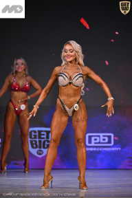 Кубок Ивановской области по бодибилдингу - 2026