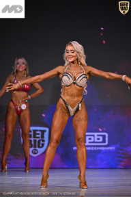 Кубок Ивановской области по бодибилдингу - 2026