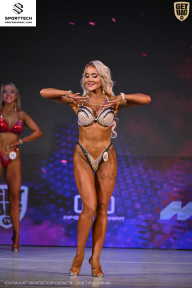 Кубок Ивановской области по бодибилдингу - 2026