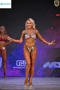 Кубок Ивановской области по бодибилдингу - 2026