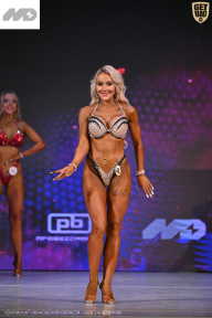 Кубок Ивановской области по бодибилдингу - 2026