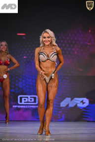 Кубок Ивановской области по бодибилдингу - 2026