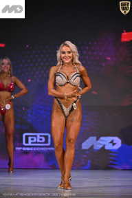 Кубок Ивановской области по бодибилдингу - 2026