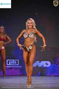 Кубок Ивановской области по бодибилдингу - 2026