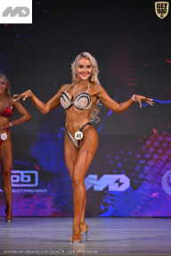 Кубок Ивановской области по бодибилдингу - 2026