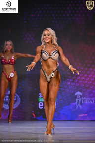 Кубок Ивановской области по бодибилдингу - 2026