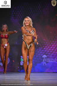 Кубок Ивановской области по бодибилдингу - 2026