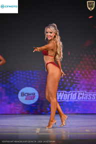 Кубок Ивановской области по бодибилдингу - 2026