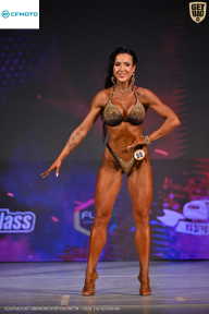 Кубок Ивановской области по бодибилдингу - 2026