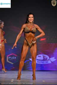 Кубок Ивановской области по бодибилдингу - 2026