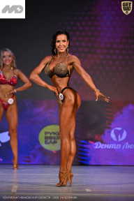 Кубок Ивановской области по бодибилдингу - 2026