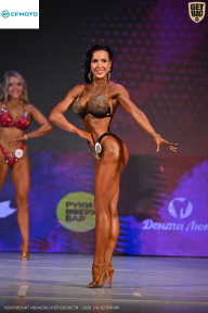 Кубок Ивановской области по бодибилдингу - 2026