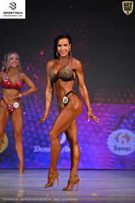 Кубок Ивановской области по бодибилдингу - 2026