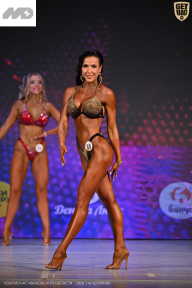 Кубок Ивановской области по бодибилдингу - 2026