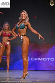 Кубок Ивановской области по бодибилдингу - 2026