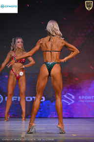 Кубок Ивановской области по бодибилдингу - 2026