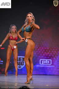 Кубок Ивановской области по бодибилдингу - 2026