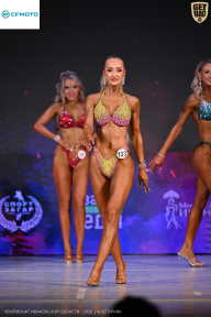 Кубок Ивановской области по бодибилдингу - 2026