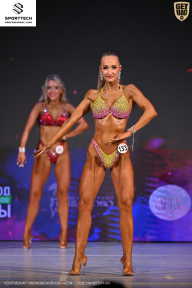 Кубок Ивановской области по бодибилдингу - 2026