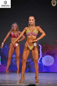 Кубок Ивановской области по бодибилдингу - 2026