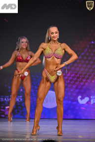 Кубок Ивановской области по бодибилдингу - 2026