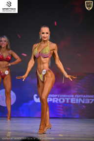 Кубок Ивановской области по бодибилдингу - 2026