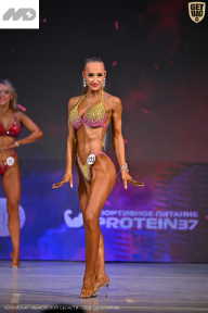 Кубок Ивановской области по бодибилдингу - 2026