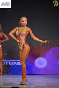 Кубок Ивановской области по бодибилдингу - 2026