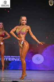 Кубок Ивановской области по бодибилдингу - 2026