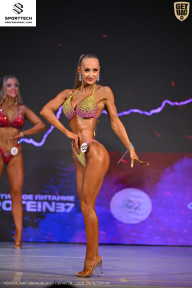 Кубок Ивановской области по бодибилдингу - 2026