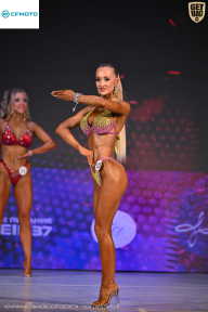 Кубок Ивановской области по бодибилдингу - 2026