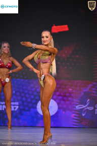 Кубок Ивановской области по бодибилдингу - 2026