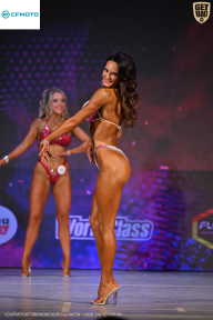 Кубок Ивановской области по бодибилдингу - 2026