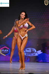 Кубок Ивановской области по бодибилдингу - 2026