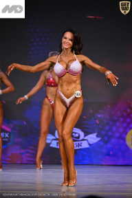 Кубок Ивановской области по бодибилдингу - 2026