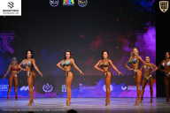 Кубок Ивановской области по бодибилдингу - 2026