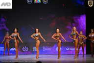 Кубок Ивановской области по бодибилдингу - 2026