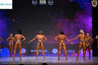 Кубок Ивановской области по бодибилдингу - 2026