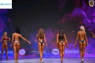 Кубок Ивановской области по бодибилдингу - 2026