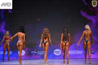 Кубок Ивановской области по бодибилдингу - 2026