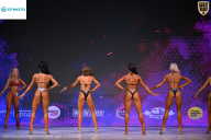 Кубок Ивановской области по бодибилдингу - 2026