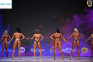 Кубок Ивановской области по бодибилдингу - 2026