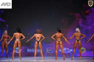 Кубок Ивановской области по бодибилдингу - 2026